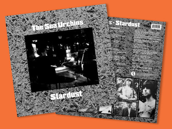 The Sea Urchins / Stardust UKオリジナル盤 - yanbunh.com