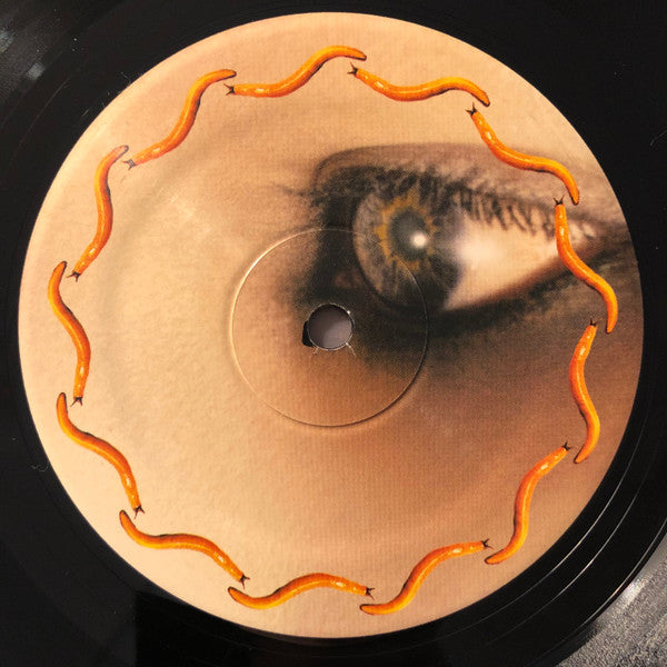 A Perfect Circle - Thirteenth Step (2xLP, Album, RE)