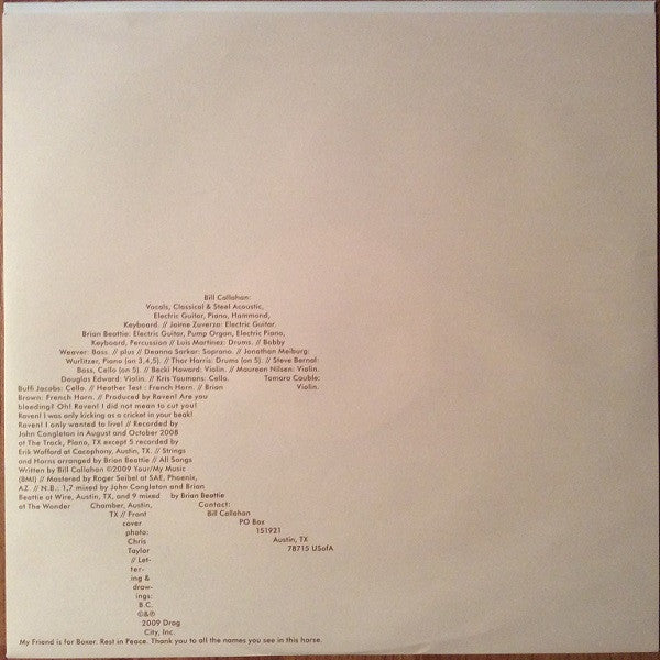 Bill Callahan : Sometimes I Wish We Were An Eagle (LP, Album)