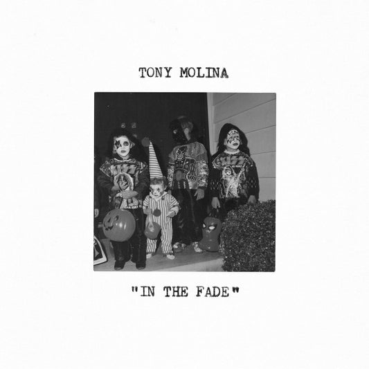 Tony Molina : In The Fade (LP, Album)