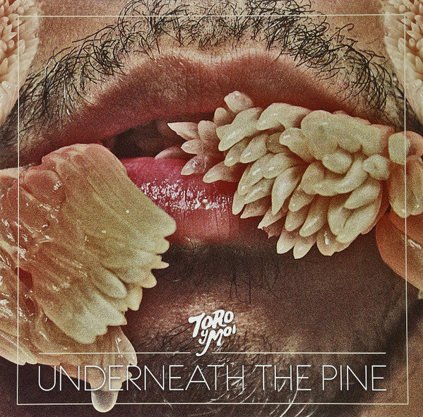 Toro Y Moi : Underneath The Pine (LP, Album)