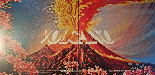 Jungle (12) : Volcano (LP, Album)