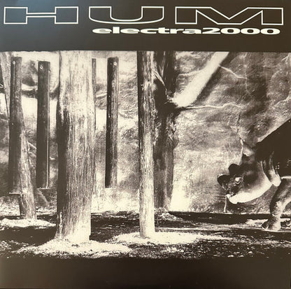 Hum (2) : Electra 2000 (2xLP, RE, RM)