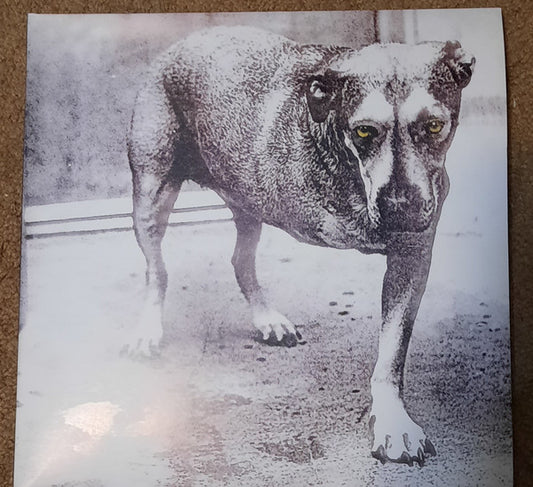 Alice In Chains : Alice In Chains (2xLP, Unofficial, Pur)