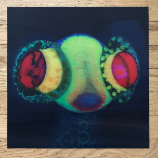 Thee Oh Sees : SORCS 80 (LP, Album, Ltd, Gre)