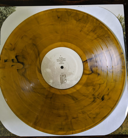 Pianos Become The Teeth : Old Pride (LP, Album, Tra)