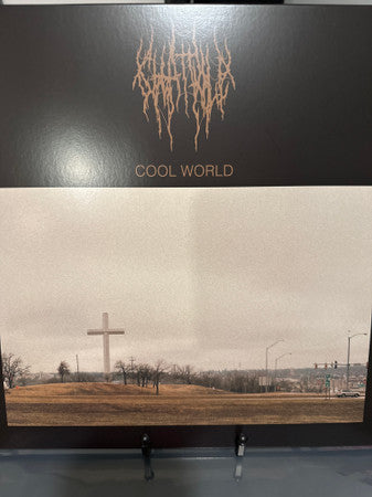 Chat Pile : Cool World (LP, Album, Bla)