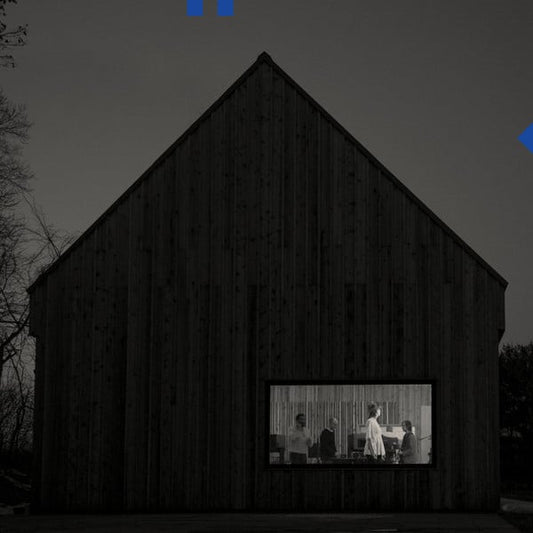 National, The : Sleep Well Beast (LP,Album)