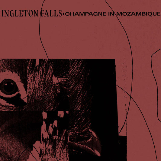 Ingleton Falls : Champagne In Mozambique (LP, RE, 180)