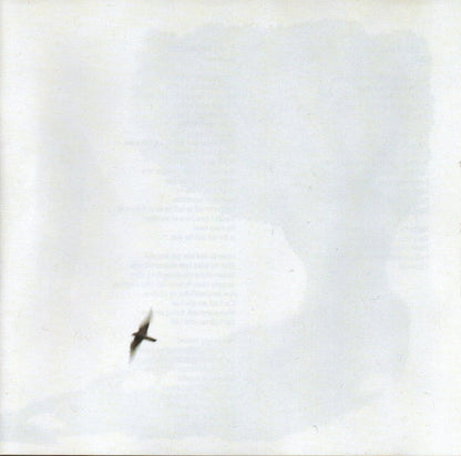 Wilco : Sky Blue Sky (CD, Album, Enh, Sli)