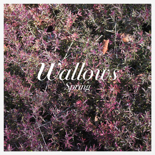 Wallows : Spring (12",45 RPM,EP)