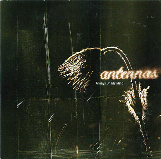 Antennas : Always On My Mind (CD, Maxi)