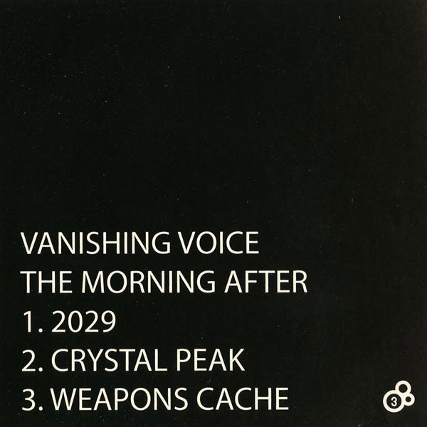 The Vanishing Voice : The Morning After (CD, Ltd)