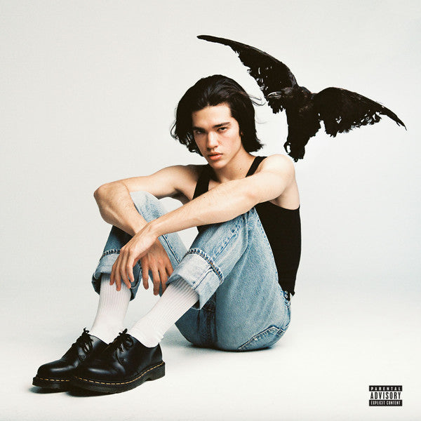 Conan Gray : Kid Krow (LP,Album)