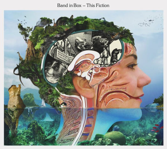 Band In Box : This Fiction (CD, Album, Dig)