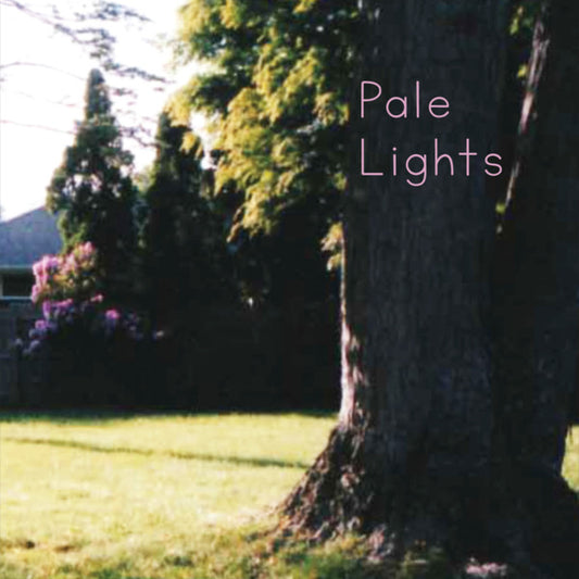 Pale Lights : You And I (7")