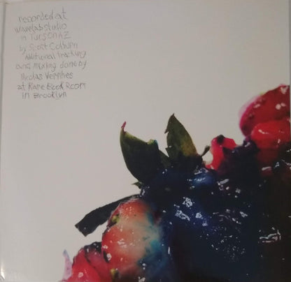 Animal Collective : Strawberry Jam (2xLP, Album)