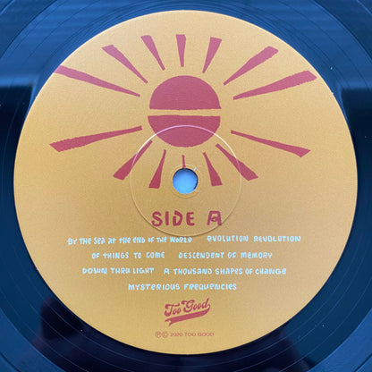 Tommy Guerrero : Sunshine Radio (LP, Album)