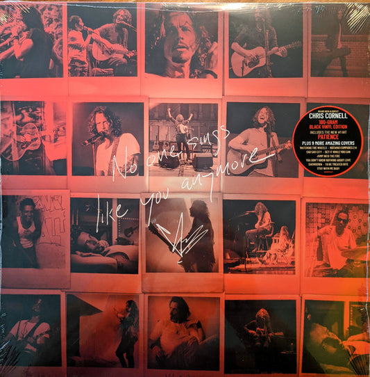 Chris Cornell : No One Sings Like You Anymore (LP, Album)