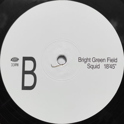 Squid (29) : Bright Green Field (2xLP, Album)