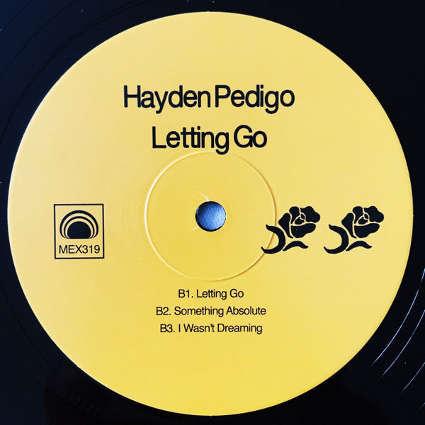 Hayden Pedigo : Letting Go (LP, Album)