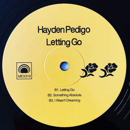 Hayden Pedigo : Letting Go (LP, Album)