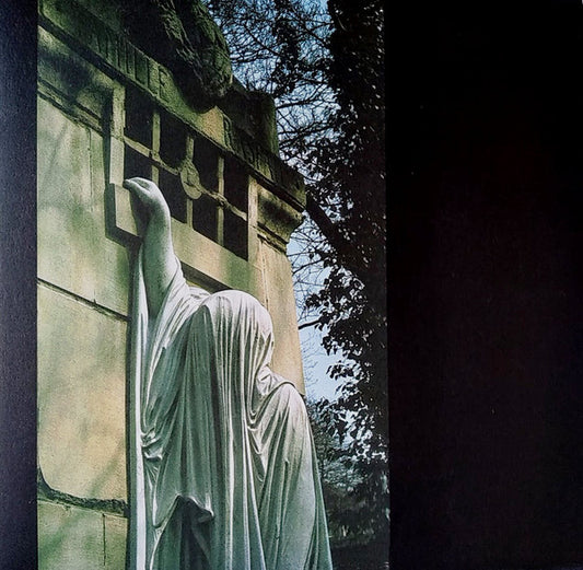 Dead Can Dance : Within The Realm Of A Dying Sun (LP, Album, RE, RM, RP)