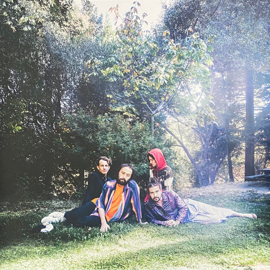 Big Thief : U.F.O.F. (LP, Album, RE)