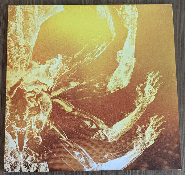 Tool (2) : Fear Inoculum (Album, RE, Tri + 2xLP + LP, S/Sided, Etch)