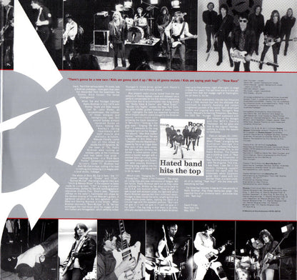 Radio Birdman : The Essential Radio Birdman (1974 - 1978) (2xLP, Comp, RE, RP)