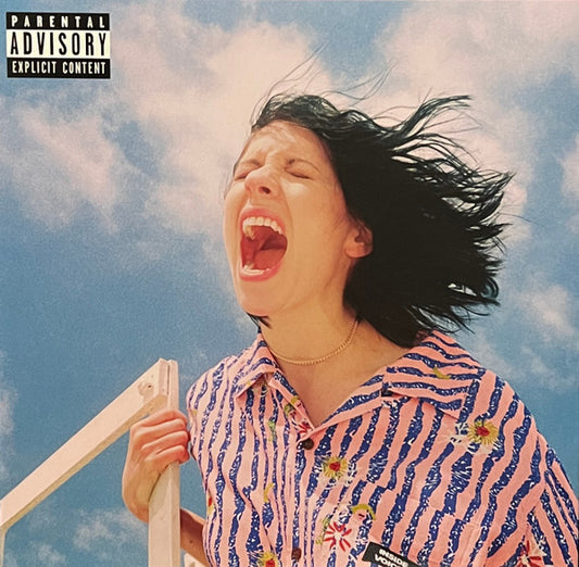 K.Flay : Inside Voices / Outside Voices (LP, Comp, Dlx, Ltd, Pin)