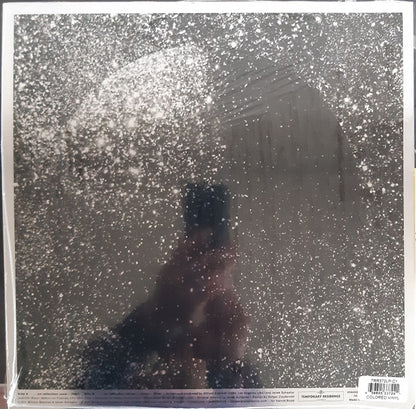 William Basinski & Janek Schaefer :  ". . . On Reflection" (LP, Album, Ltd, Sil)