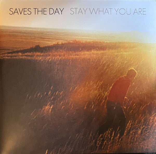 Saves The Day - Stay What You Are (2x10