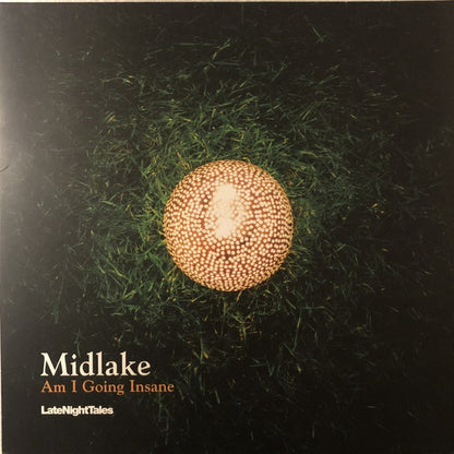 Midlake : Am I Going Insane (12", Single, Ltd)