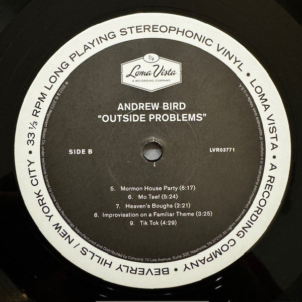 Andrew Bird : Outside Problems  (LP, Album)