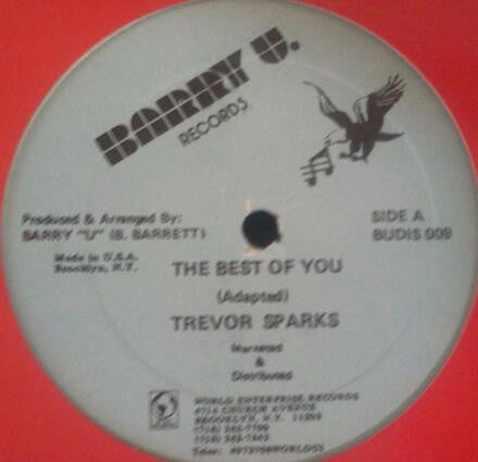 Trevor Sparks : The Best Of You (12")