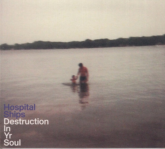 Hospital Ships : Destruction In Yr Soul (CD, Album)