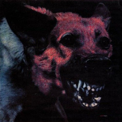 Protomartyr (2) : Under Color Of Official Right  (LP, Album)