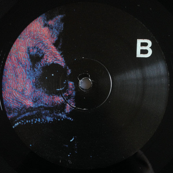 Protomartyr (2) : Under Color Of Official Right  (LP, Album)