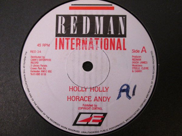 Horace Andy : Holly Holly (12")