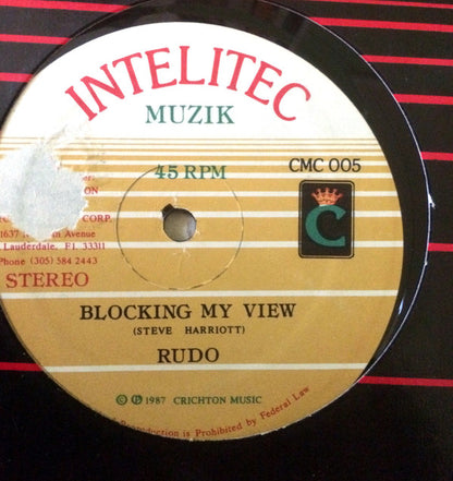 Rudo (2) : Blocking My View (12")