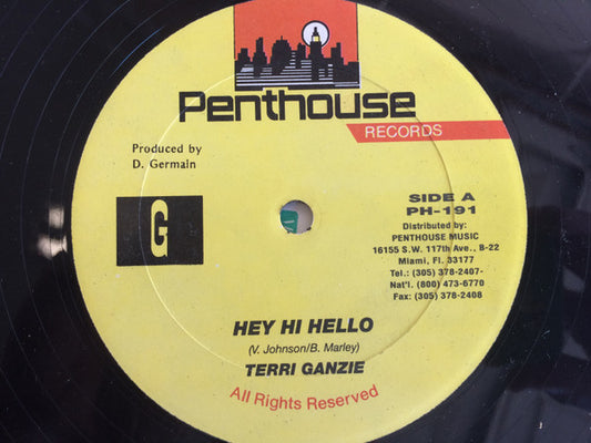 Terry Ganzie : Hey Hi Hello (12")