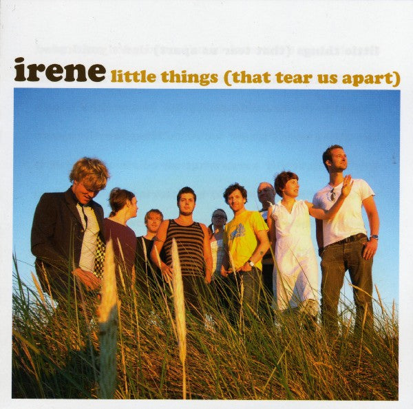 Irene (7) : Little Things (That Tear Us Apart) (CD, Maxi)