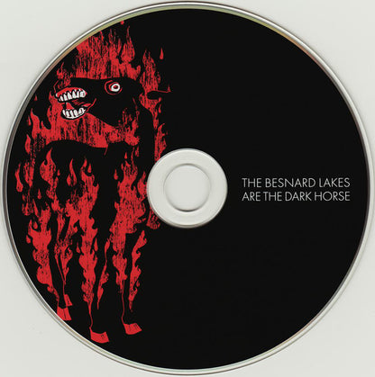 The Besnard Lakes : The Besnard Lakes Are The Dark Horse (CD, Album)