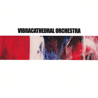 Vibracathedral Orchestra : My Gate's Open, Tremble By My Side (CD, Album)