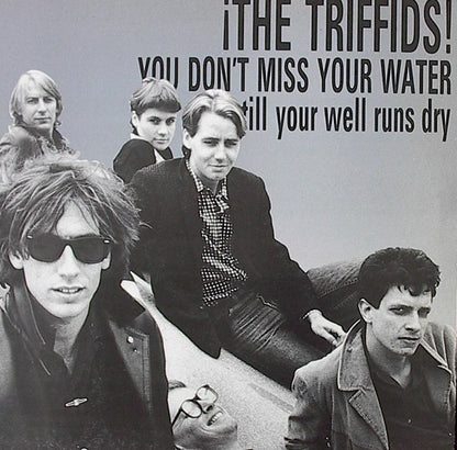 The Triffids : You Don't Miss Your Water Till Your Well Runs Dry (12")