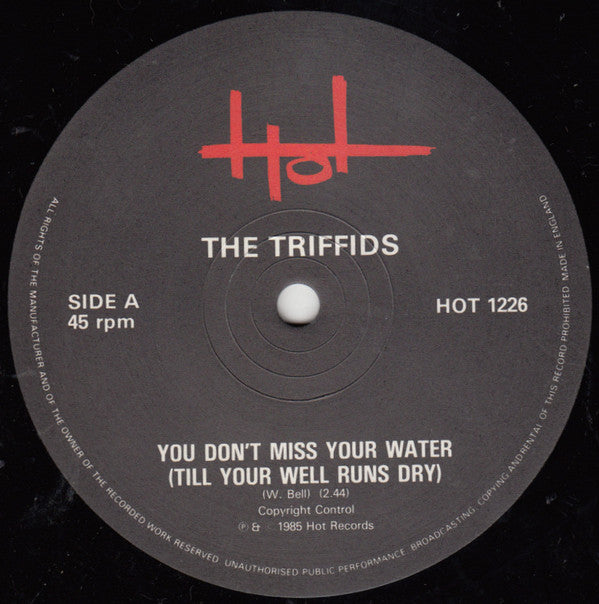 The Triffids : You Don't Miss Your Water Till Your Well Runs Dry (12")