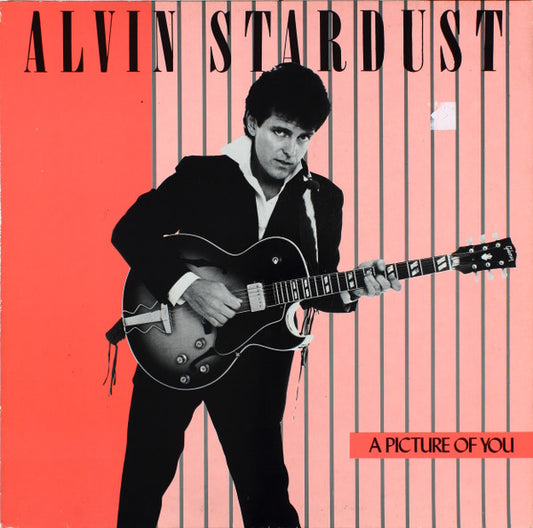 Alvin Stardust : A Picture Of You (LP, Album)