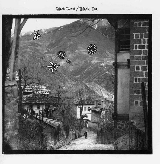 Black Forest / Black Sea : Black Forest / Black Sea (CD, Album)